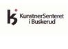 10360buskerudlogo.jpg