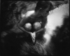 sallymann8.jpg